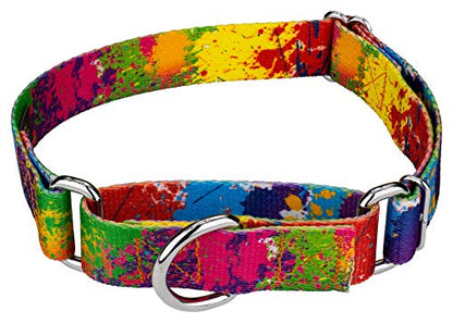 Country Brook Petz - Paint Splatter Martingale Dog Collar - Groovy Collection Featuring Far Out Designs (1/2 Inch, Extra Small) - color: Paint Splatter, size: Extra Small (Pack of 1)