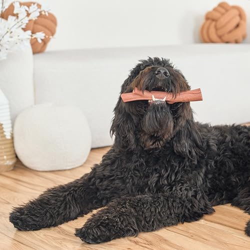 SPOT Bam-Bones Plus Branch -Bamboo Fiber & Nylon, Durable Long Lasting Dog Chew for Aggressive Chewers – Great Toy for Adult Dogs & Teething Puppies Under 90lbs, Non-Splintering, 9.5in, Beef Flavor - size: 9.5 inch (Pack of 1)
