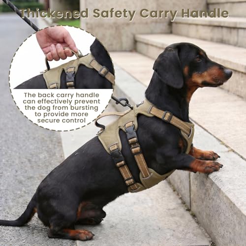 Escape Proof Dog Harness and Leash Set,Soft Padded Full Body Pet Harness, No Pull Reflective Adjustable Dog Vest with Handle, Easy Control Dog Harness for Medium Large Dogs Training Walking Running - color: Khaki, size: M