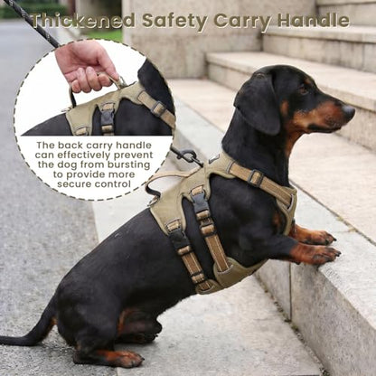 Escape Proof Dog Harness and Leash Set,Soft Padded Full Body Pet Harness, No Pull Reflective Adjustable Dog Vest with Handle, Easy Control Dog Harness for Medium Large Dogs Training Walking Running - color: Khaki, size: M