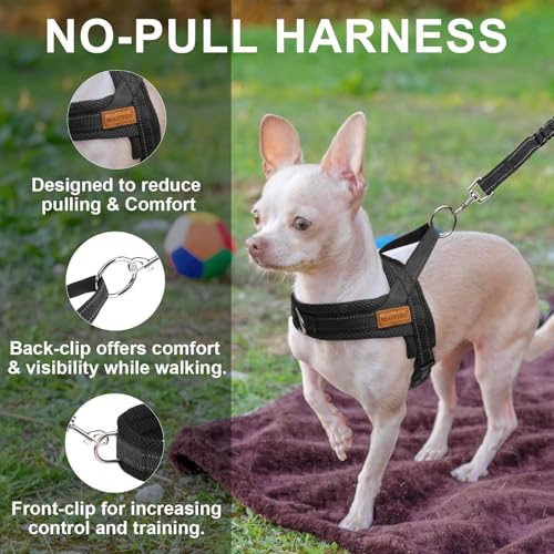 BEAUTYZOO No Pull Dog Harness Medium Sized Dog, Breathable Mesh Padded Dog Harness and Leash Set, Adjustable Reflective Escape Proof Dog Vest Harnessss Quick Fit for Training Walking, Black M - color: Black, size: M: Chest 21"-26.7"