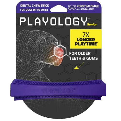 Playology Dog Toys | Dental Chew Stick for Senior Dogs | Pork Sausage Scented Medium Toy | Dog Chew Toy for Healthy Teeth and Gums - size: Medium Chew Stick, style: Pork Sausage