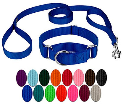 Country Brook Petz - Royal Blue Martingale Heavyduty Nylon Dog Collar and Double Handle Leash (1 Inch, Large) - color: Royal Blue, size: Large (Pack of 1)