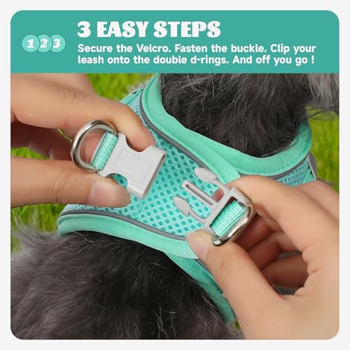 Dog Harness Small Sized and Leash Set, Step in Soft Light Puppy Vest, Breathable Mesh Pet Harness, Reflective for Safe Easy Walking. - color: Blue, size: Small (Pack of 1)