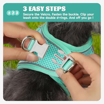 Dog Harness Small Sized and Leash Set, Step in Soft Light Puppy Vest, Breathable Mesh Pet Harness, Reflective for Safe Easy Walking. - color: Blue, size: Small (Pack of 1)