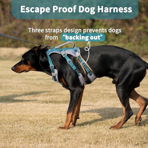 Huntboo Reflective Dog Harness with Handle, Escape Proof, No Slip, Breathable, Lightweight, Adjustable Lift Harness for Small, Medium, and Large Dogs Walking, Training, and Running Gear(Teal Blue,M) - color: Teal Blue, size: Medium (Pack of 1)