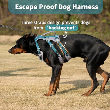 Huntboo Reflective Dog Harness with Handle, Escape Proof, No Slip, Breathable, Lightweight, Adjustable Lift Harness for Small, Medium, and Large Dogs Walking, Training, and Running Gear(Teal Blue,M) - color: Teal Blue, size: Medium (Pack of 1)