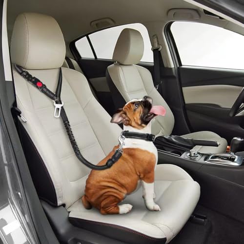 Dog Seat Belt, Adjustable Dog Safety Belt Leash, 2 in 1 Latch Bar Attachment Dog Car Seatbelt with Elastic Nylon Bungee Buffer Reflective Connect to Dog Harness（43in*0.98in） (Purple) - color: Purple