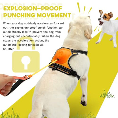 3-in-1 Dog Harness with Built-in Leash, Comfortable Dog Walking Harness with Extendable Lead, Heavy Duty Dog Harness for Large Dogs, Auto-Lock & Tug Control (Orange-M)