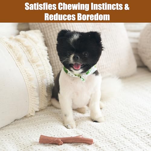 SPOT Bam-Bones Plus Branch -Bamboo Fiber & Nylon, Durable Long Lasting Dog Chew for Aggressive Chewers – Great Toy for Adult Dogs & Teething Puppies Under 60lbs, Non-Splintering, 5.75in, Beef Flavor - size: 5.75 inch (Pack of 1)
