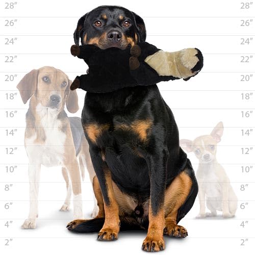 MIGHTY- Safari Meercat - Squeaker-Multiple Layers. Made Durable, Strong & Tough. Interactive Play Dog Toy (Tug, Toss & Fetch). Machine Washable & Floats | Ultra Durable Plush Toy with Multiple Layers & Reinforced Seams , Washable and Floats , Mighty® Cons