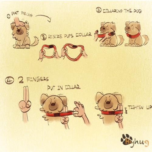 Hyhug Medium Dog Collar, Red:Heavy-Duty Quick-Release Nylon Buckle, Adjustable & Durable, Cute Dog Collar (Medium, Red) - color: Red, size: Medium