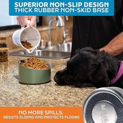 Master Pet Supply Stainless Steel Slanted Dog Cat Food Bowl - 24 oz Heavy Duty - Stainless Steel, Double Wall Insulated, Non-Slip Elevated Bowl for French Bulldogs Pugs Cats, Anti Rust Dishwasher Safe - color: Stainless Steel, size: 3 Cups (24 oz)