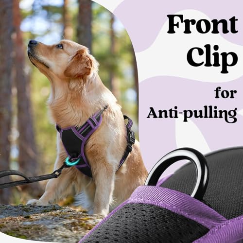 rabbitgoo Dog Harness Small Sized, No Pull Easy On & Off with 3 Buckles Pet Harness, Adjustable Soft Walking Vest with 2 Clips and Handle, Reflective for Small Dogs, Black & Purple, S - color: Black & Purple, size: Small