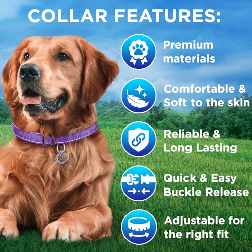 TECEUM 3 Pack Reflective Dog Collar – Purple&Red&Teal – M – Extra Soft Padding – Basic Nylon Pet Collar - color: Purple&Red&Teal, size: Medium