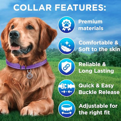 TECEUM 3 Pack Reflective Dog Collar – Purple&Red&Teal – M – Extra Soft Padding – Basic Nylon Pet Collar - color: Purple&Red&Teal, size: Medium