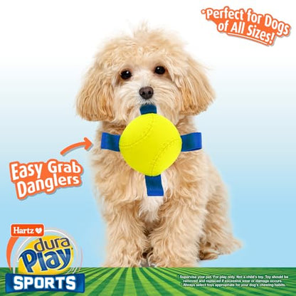 Hartz Dura Play Sports Baseball Dog Toy, Bacon Scented Squeaky Latex Yellow & Blue Toy, 1 Count - size: 1 Count, style: Baseball