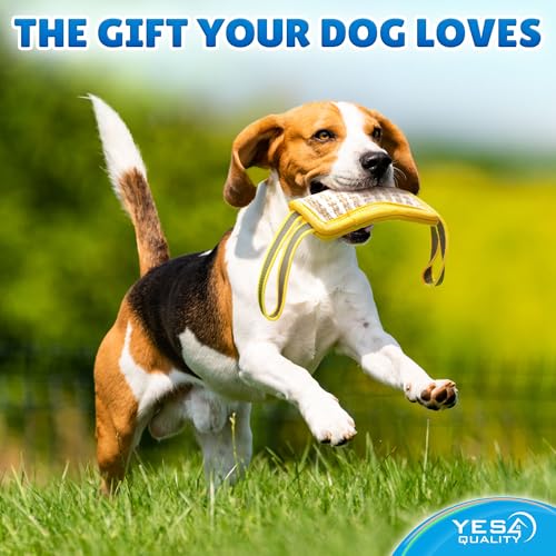 YES4QUALITY Dog Bite Tug Toy - 7.9"x3" - Durable Pull Toy with 2 Soft & Strong Handles - Tough Jute Bite Pillow for Small to Medium Dogs - Ideal for Tug of War, Fetch, K9, Puppy Training & Play