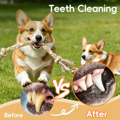 wodoca [4 Pack] Dog Rope Toys, Puppy Teething Duty Cotton Knot Chew Rope for Small Medium Dogs, Interactive Tug of War Dog Toys for Boredom, Teeth Cleaning - color: Natural White