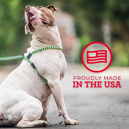 Harness Lead No Pull Dog Harness and Leash Set, Anti Pull Dog Harness, One-Piece Cushioned Rope Safely Prevents Escaping and Pulling (Medium/Large, Reef) - color: Reef (Purple/Raspberry/Turquoise)