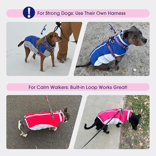 FUAMEY Dog Coat for Small Dogs,Waterproof Dog Winter Jacket with Harness Built in Puppy Cold Weather Coats Reflective Pet Vest with Zipper Warm Fleece Dogs Snowsuit Windproof Pink XS - color: Rose Red, size: XS(chest:14in)