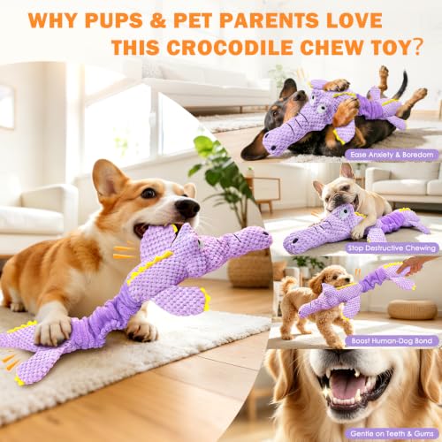 WOWBALA Squeaky Dog Toys for Puppy to Medium Breeds | Interactive Tug of War Dog Toys with Crinkle Paper, Plush Chew Puppy Toys to Keep Them Busy, Training Reward Gift for Dogs - color: Light Purple