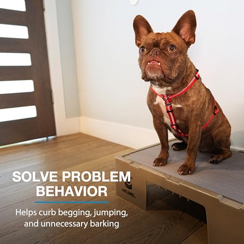 Blue-9 KLIMB Jr. Professionally Designed Dog Training Platform and DIY Guide for Behavior Basics, Made in The USA, Black - color: Black