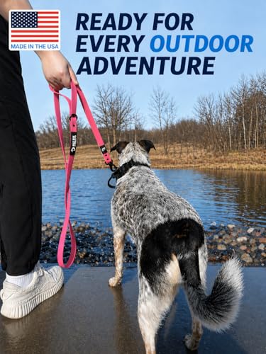 Biothane Dog Leash by Mad Dog Products - (.75" x 6 Foot Clip Leash, Black w/Reflective) - color: Black w/ Reflective