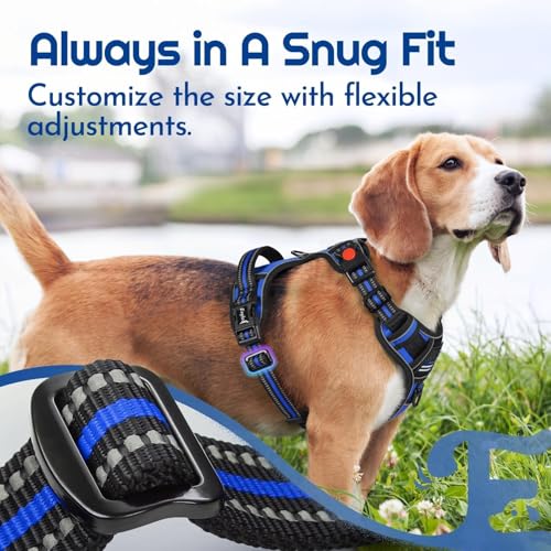 Eagloo Dog Harness Small Sized, Easy Wearing with 3 Buckles, Adjustable No Pull Pet Harness with 2 Rings for Walking, No Chock Reflective Soft Padded Vest with Control Handle, Blue & Black, S - color: Blue & Black, size: Small