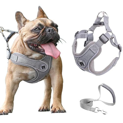 Dog Frenchie Harness and Leash Set,No Pull Adjustable Step in Soft Mesh Vest Harness,Easy Walk Reflective Pet Harness with Padded Handle for Walking Training Small Medium Large Dogs and Cats (Grey, M) - color: Grey, size: M