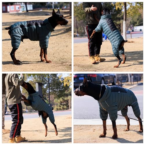 ArmyGreen Dog Jumper, Windproof, Reflective - Dirigible Winter Jacket for S, M, L - Zip, Adjustable Sizes - color: Armygreen, size: S (11inch Back)