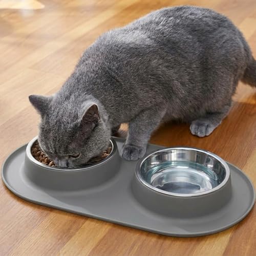 Double Stainless Steel Cat Food Bowls with Non-Slip Silicone Mat, Double Pet Feeder for Food & Water, Spill Proof Cat Dish Set for Small Medium Dogs & Cats, 1.5 Cups Each Bowl, Grey Mediun - color: Grey