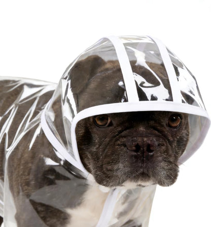 Clear Dog Poncho, Transparent PVC Cape Style Pet Rain Jacket with Hidden Leash Hole, Suitable for Most Dog Breeds(2-25lbs) (Transparent, s-3xl) (Blue, Large) - color: blue, size: Large