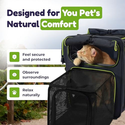 Premium Expandable Cat Carrier Backpack with Car Seat Belt Safety System – Rigid Frame Pet Carrier Backpack for Cats & Small Dogs up to 25 lbs – Breathable, Durable – Includes Bottle & Feeding Bowl - color: gray/green