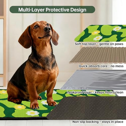 Qeils Reusable Puppy Pads for Small Dogs, Washable Pee Pads with Non-Slip , Absorbent Leakproof Mat for Crates, Playpens, Pet Beds & Whelping, Indoor Potty Training Grass Green, 22"x22", 2 Pack - size: 22"x22"(Pack of 2)