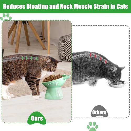 3PCS Elevated Cat Bowls, 15° Tilted Raised Cat Food Bowl Anti-Vomiting, Raised Cat Food and Water Bowl Set for Protecting Pet's Spine, Shallow Cat Food Dish Whisker Friendly - color: Cute Style