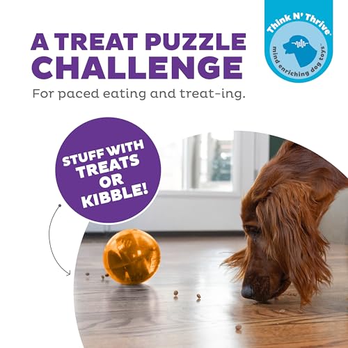 Outward Hound Orbee-Tuff Mazee Interactive Dog Puzzle Toy, Treat Dispensing Slow Feeder Ball, Orange, 4.7-Inch - color: Orange