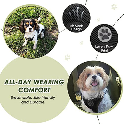 Lukovee Dog Car Harness Seat Belt, Adjustable Mesh Breathable Vest with Elastic Bungee Tether, Soft Padded 2-in-1 Safety Car Harness Seatbelt for Small Medium Large Dogs (Black,XXXS) - color: Black, size: XXX-Small