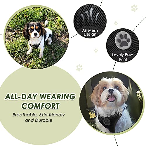 Lukovee Dog Car Harness Seat Belt, Adjustable Mesh Breathable Vest with Elastic Bungee Tether, Soft Padded 2-in-1 Safety Car Harness Seatbelt for Small Medium Large Dogs (Black,XS) - color: Black, size: X-Small