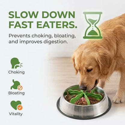 Slow Feeder Dog Bowl Insert, Interactive Rotating Puzzle Feeder with Detachable Silicone Top, Strong Suction Cup Base & Easy-Release Pull Tab for Medium Large Dogs