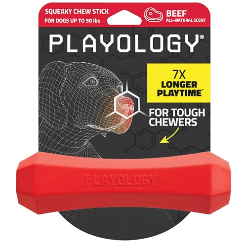Playology Dog Toys | Squeaky Chew Stick for Dogs | Beef Scented Medium Fetch Toy | Squeaky Dog Chew Toy - size: Medium, style: Beef