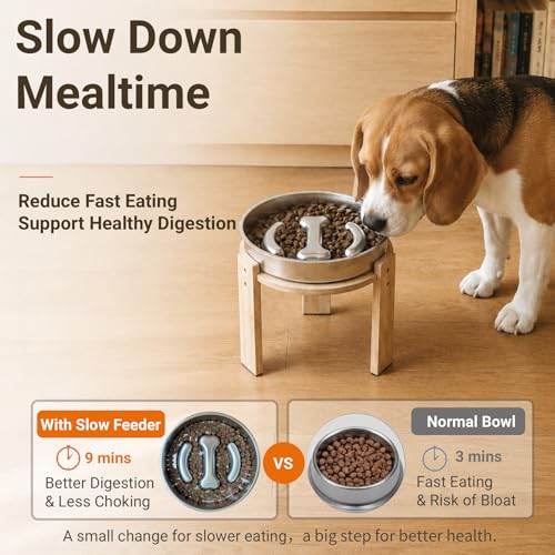 Elevated Slow Feeder Dog Bowl for Medium Dogs, Adjustable Raised Dog Bowl Stand with Stainless Steel Slow Feed Bowl, Reduces Choking & Improves Digestion, Non-Slip Bamboo Stand - color: natural