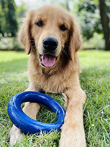 Tuff Pupper SuperChewer Tough Dog Ring Toy | Lifetime Replacement | Strong Natural Rubber | Chew Toys for Aggressive Chewers | Durable Tug Play | Strong Dog Ring Toy | Large Breed Tested - size: Large