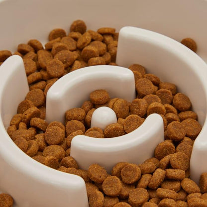 EveryYay by Petco Take it Slow White Slow Feeder Pet Bowl 5.25 Cups - size: Large