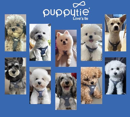 Puppytie No Pull Dog Harness with Multifunction Dog Leash,Soft Adjustable No Choke Escape Proof Pet Harness Vest for Medium Dogs,Denim Light Blue,M - color: Pocket-Light Blue, size: M