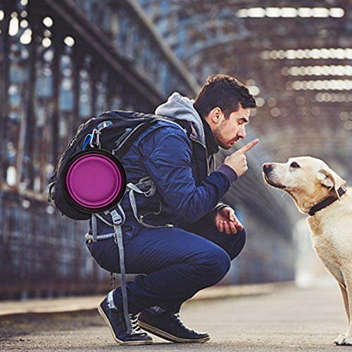 Guardians Large Collapsible Dog Bowls, 34oz Travel Water Food Bowls Portable Foldable Collapse Dishes with Carabiner Clip, 2 Pack (Blue + Purple) - color: 34oz-Blue&Purple
