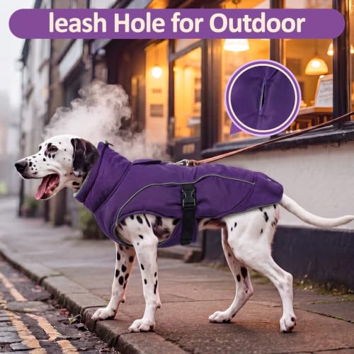 DENTRUN Warm Dog Winter Coat, Easy On Reflective Turtleneck Fleece Jacket | Adjustable buckle, easy on off, windproof & water-repellent, thick fleece snowsuit, outfit fits small to large breeds - color: Purple, size: Medium