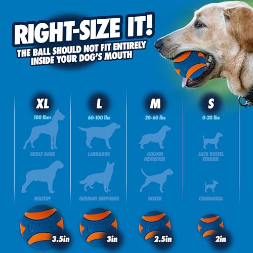 Chuckit! Ultra Squeaker Dog Ball, Fetch Toy, Medium, 1 Pack - size: Medium (1 Pack), style: Squeaker