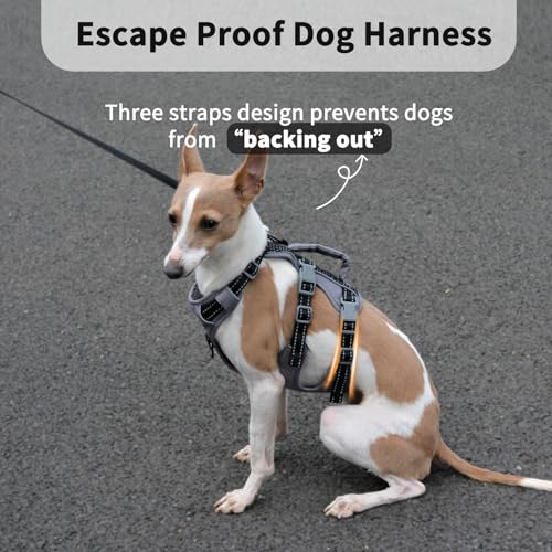 Huntboo Reflective Dog Harness with Handle, Escape Proof, No Slip, Breathable, Lightweight, Adjustable Lift Harness for Small, Medium, and Large Dogs Walking, Training, and Running Gear(Black,S) - color: Black, size: Small (Pack of 1)