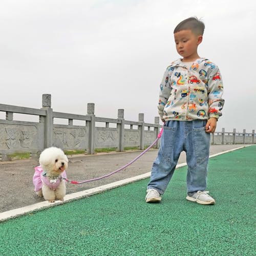 2/3/4/6/10 Foot Reflective Dog Leash Strong Nylon Rope Braided Heavy Duty for Large Medium Small Dogs Walking Training Leads (Pink, 3ft * 1/2") - color: Pink, size: 3ft * 1/2"